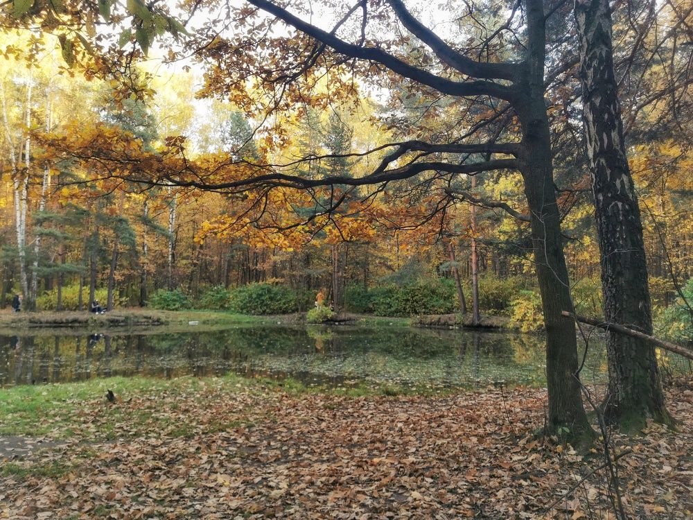 Photograph by Natalia Perova