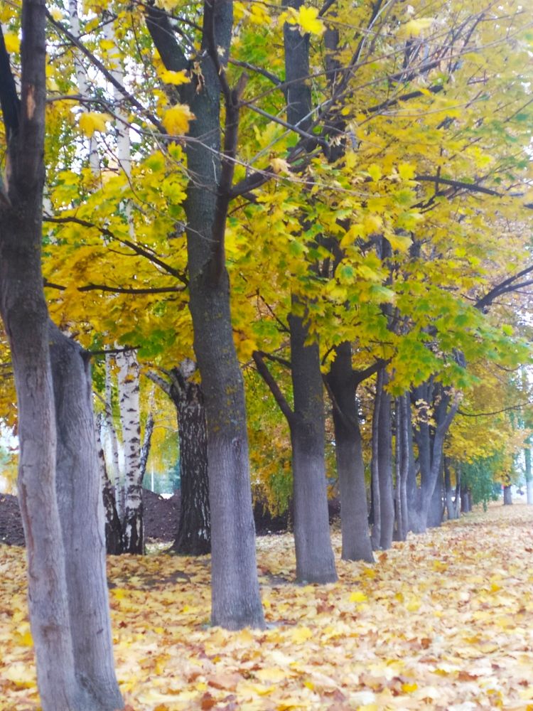 Photograph by Надежда Маст