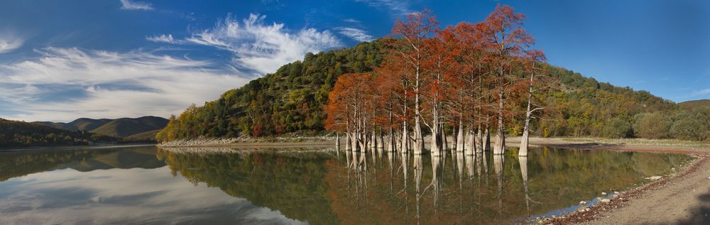 Photograph by ELENA VOLKOVA