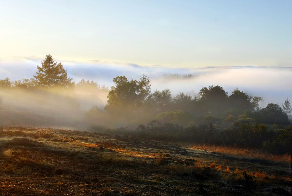 Photograph by isamonov