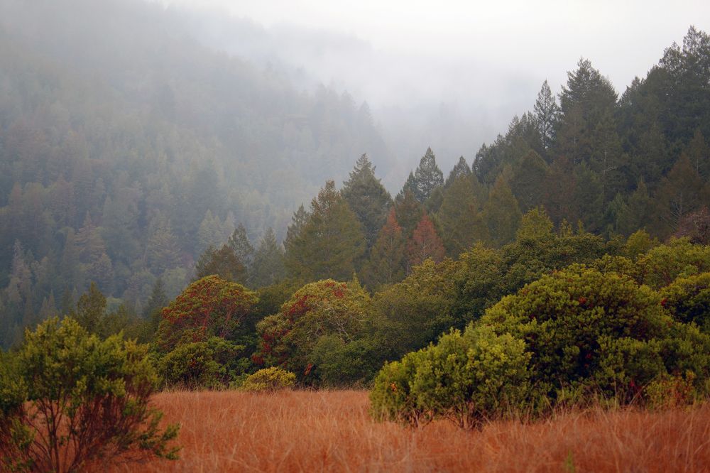 Photograph by isamonov