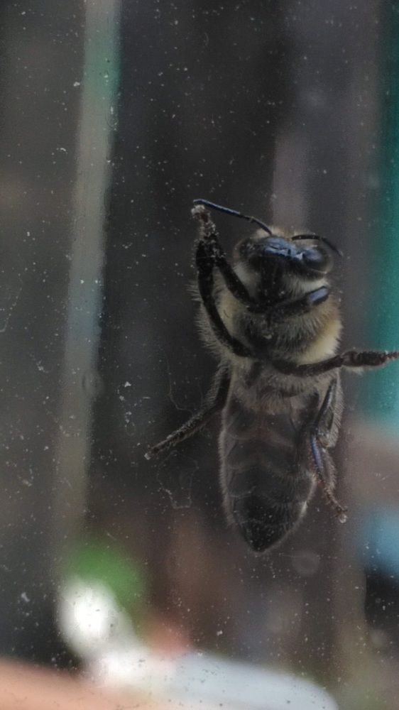 Photograph by Рустем Ганиев