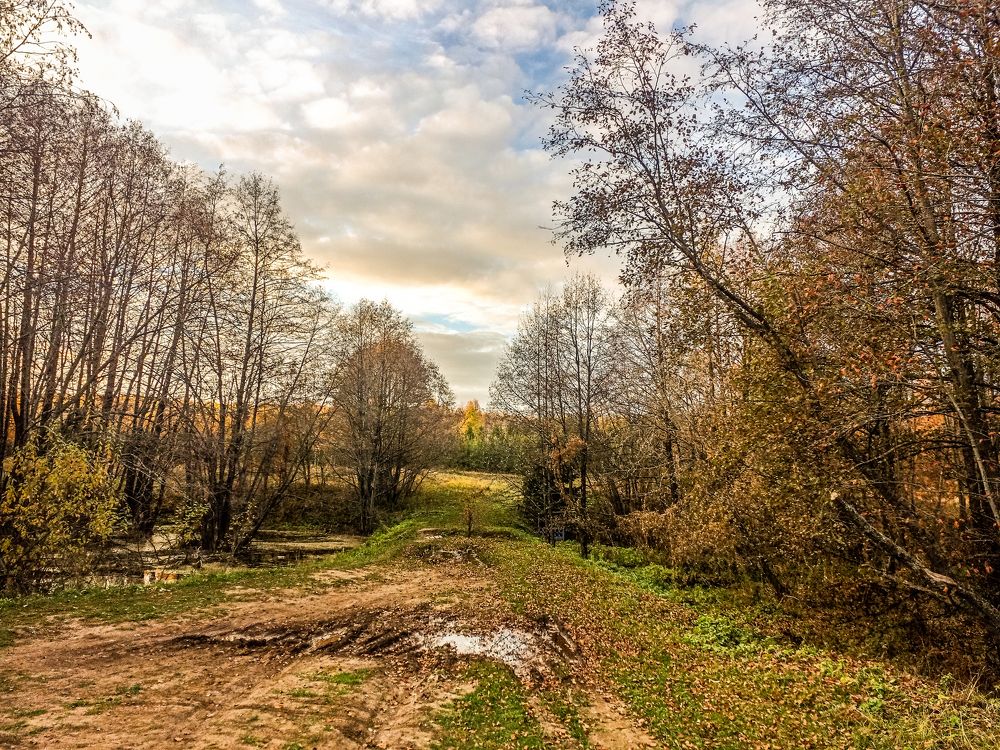 Photograph by Денис Геранькин