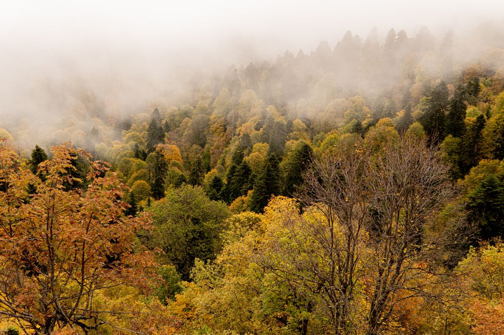 Photograph by Виталий Абдразаков