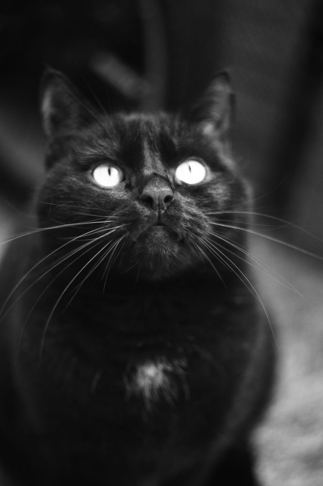 Photograph by Milla Luca