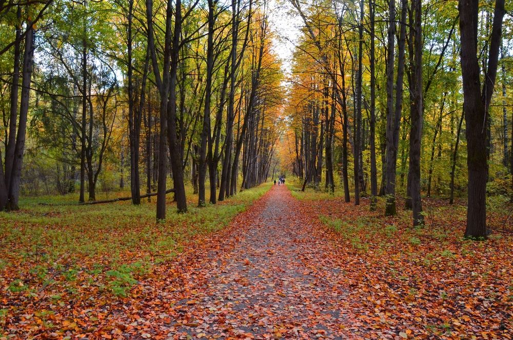 Photograph by Татьяна Червочкина