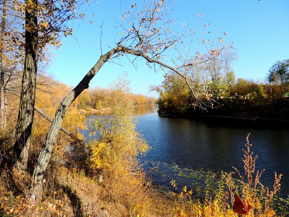 Photograph by Елена Шубочкина