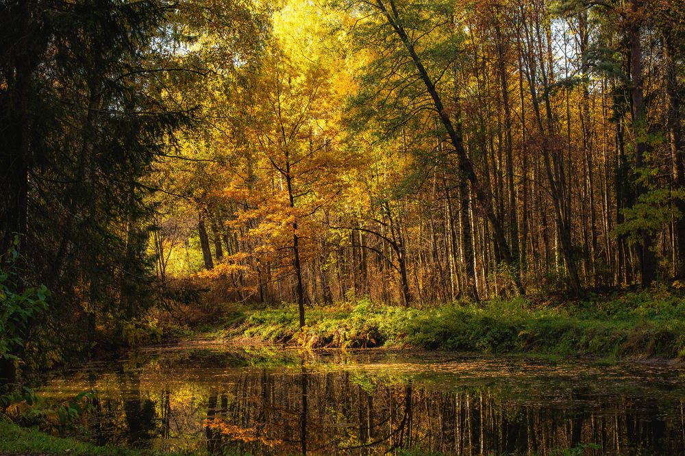 Photograph by Ксения Осипян