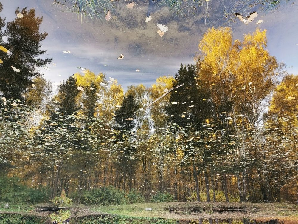 Photograph by Natalia Perova