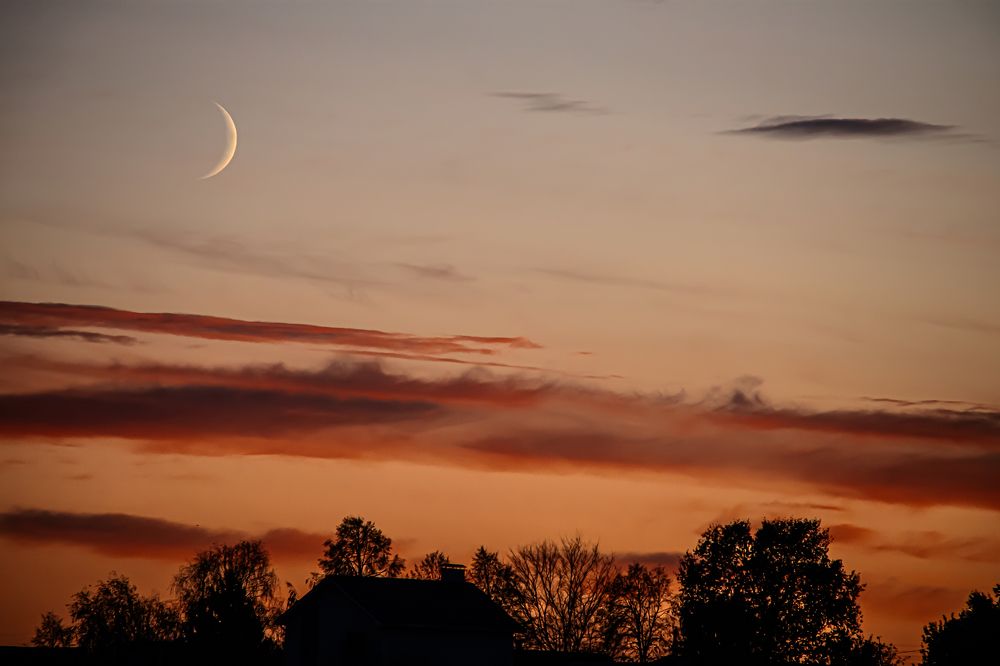 Photograph by Николай Круглов