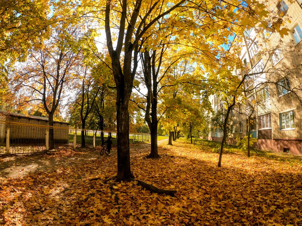 Фотография автора Александр Сенчуров