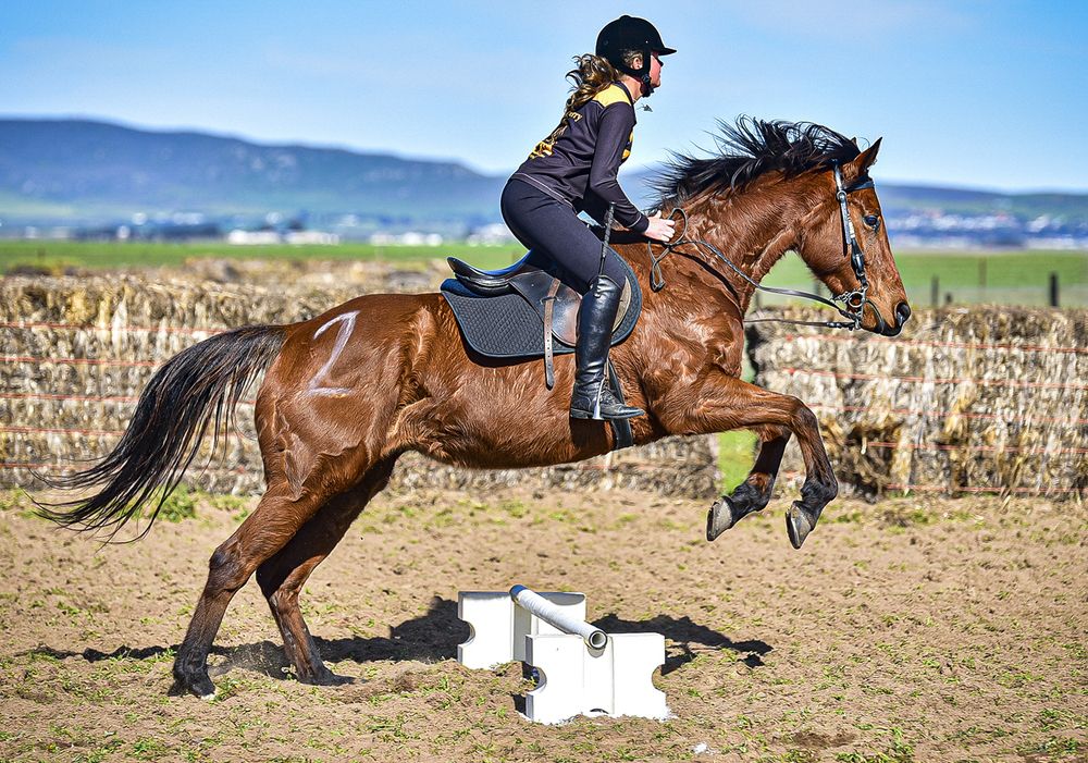 Photograph by Nico Holtzkamp