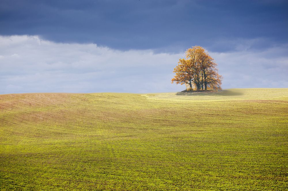 Photograph by Aleksandr