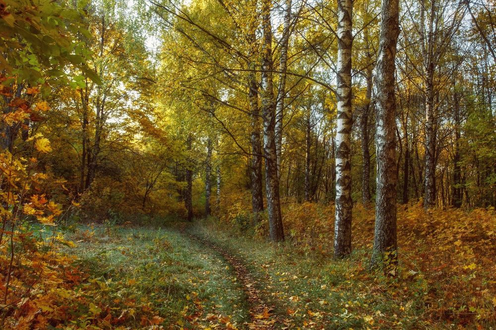 Photograph by Сергей Бибиков