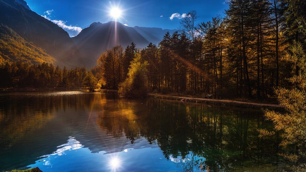 Фотография автора ROMAN Wieckowski