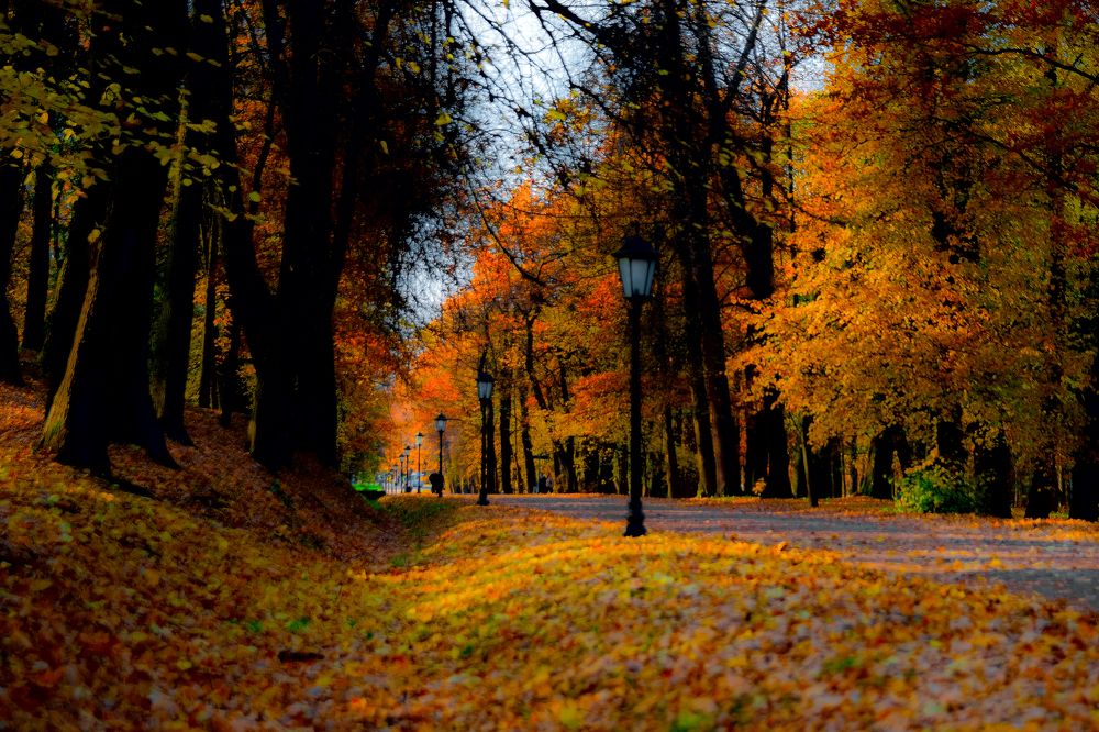 Photograph by Шутов Владимир