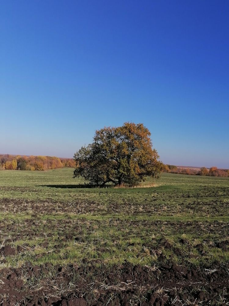 Photo #6574043