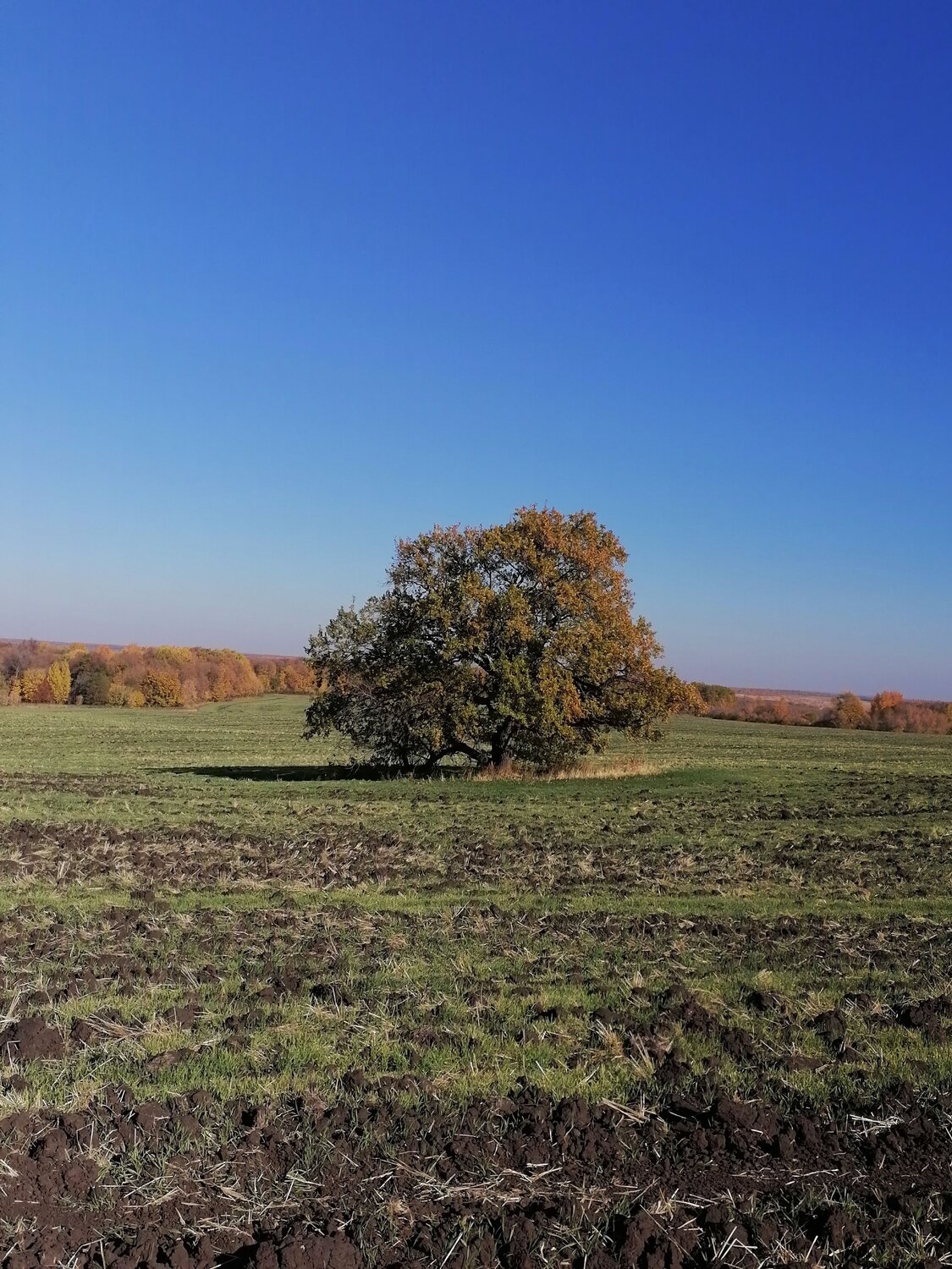Photo #6574043