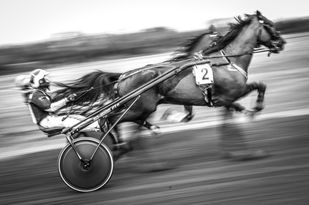 Photograph by Nadina Ironia