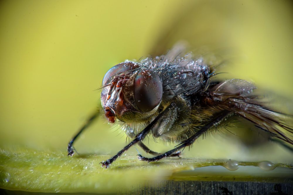 Photograph by Антон Бойков