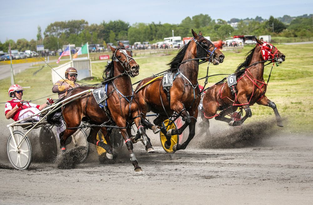 Photograph by Nadina Ironia