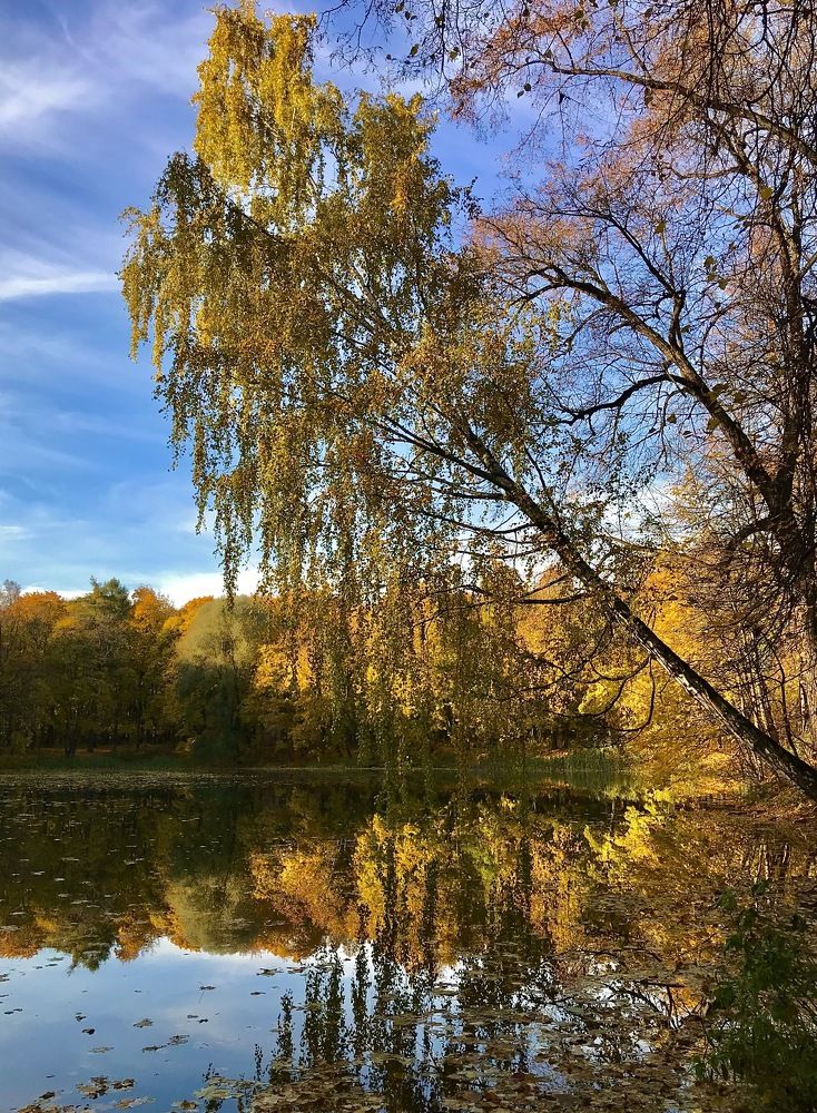 Photograph by Михаил Некрасов