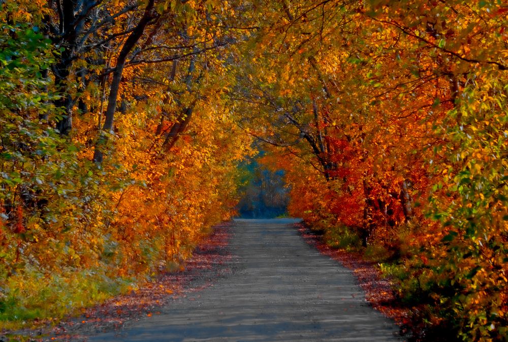 Photograph by Шутов Владимир