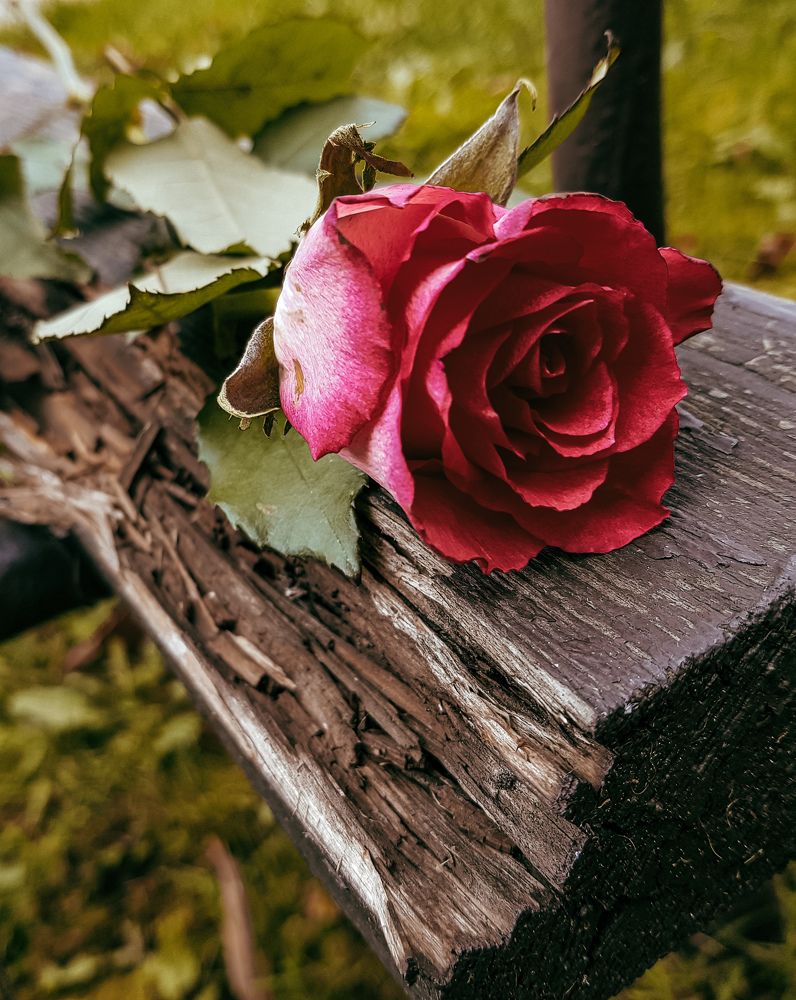 Photograph by Татьяна Олефиренко