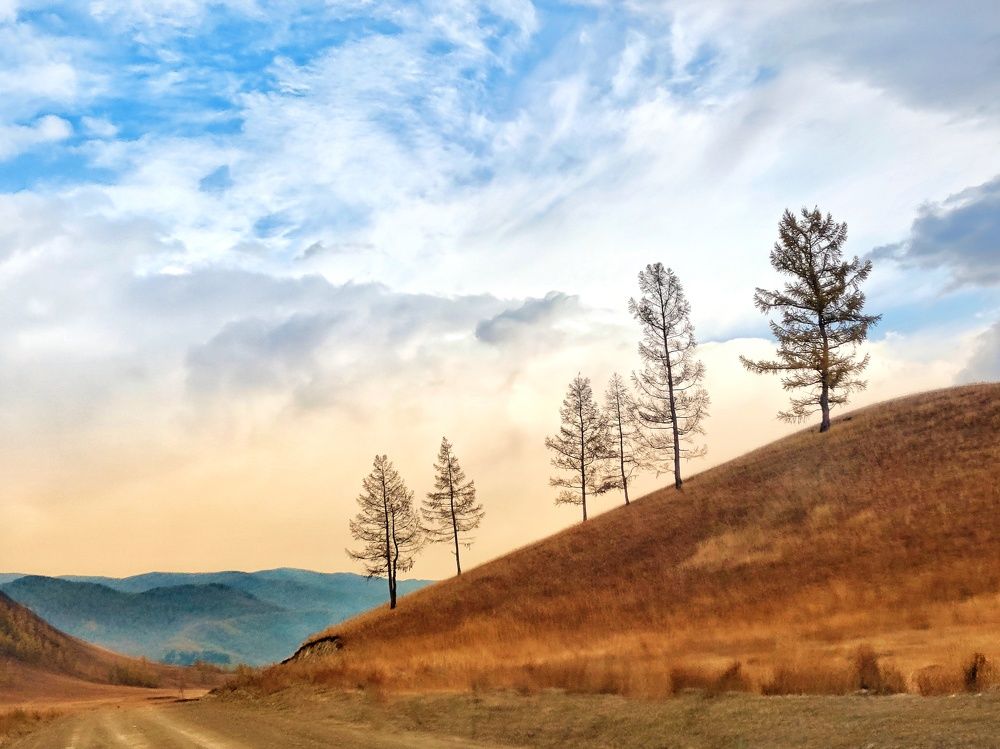 Photograph by Денис Воронин