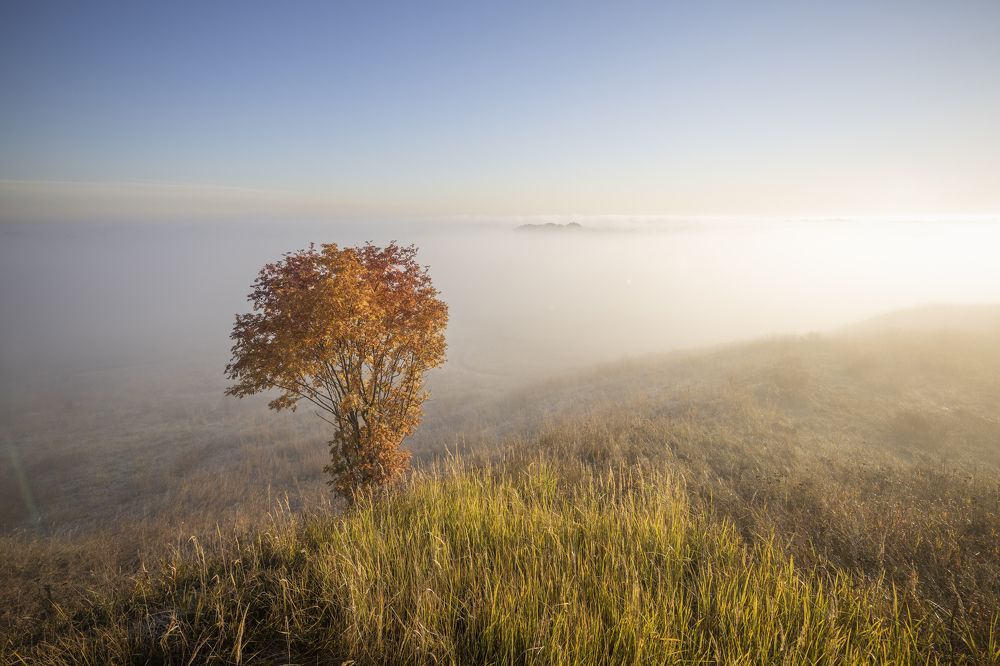 Photograph by Сергей