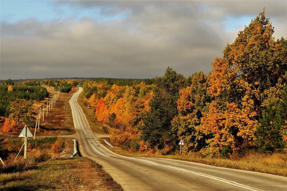 Осенние краски