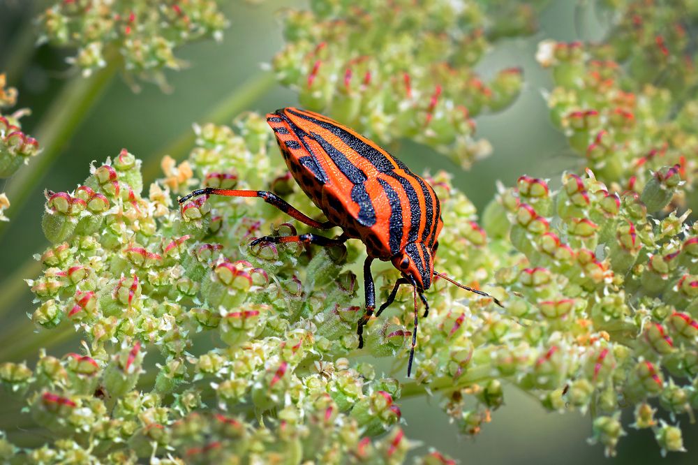 Photograph by Валерий Афанасьев