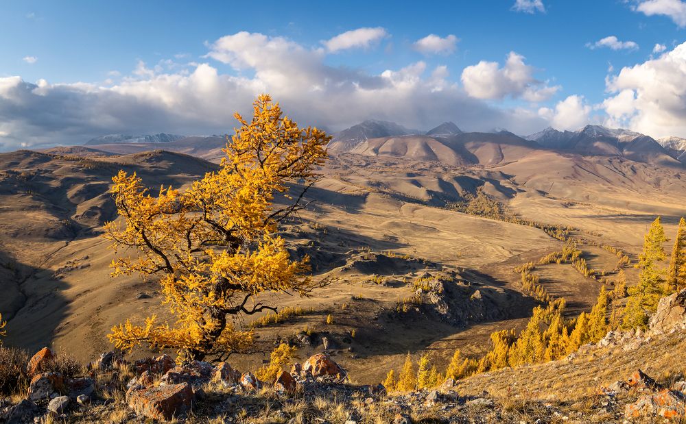 Фотография автора Александр Рудный