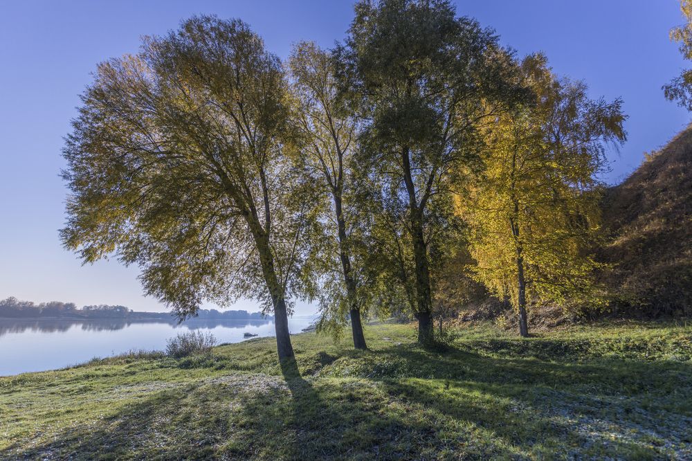 Photograph by Сергей