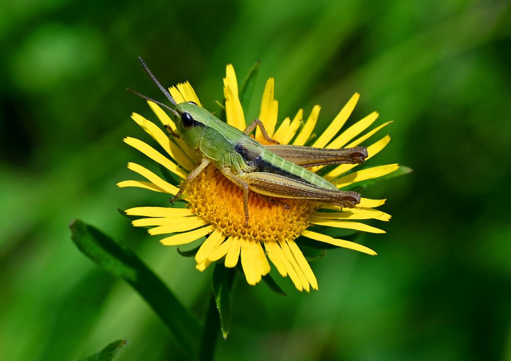 Photograph by Валерий Афанасьев