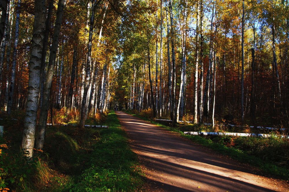 Photograph by Анатолий Протасов