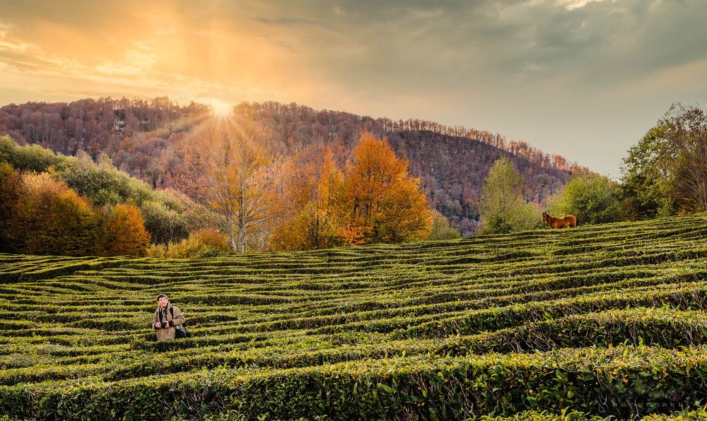 Photograph by Владимир Ачинцев