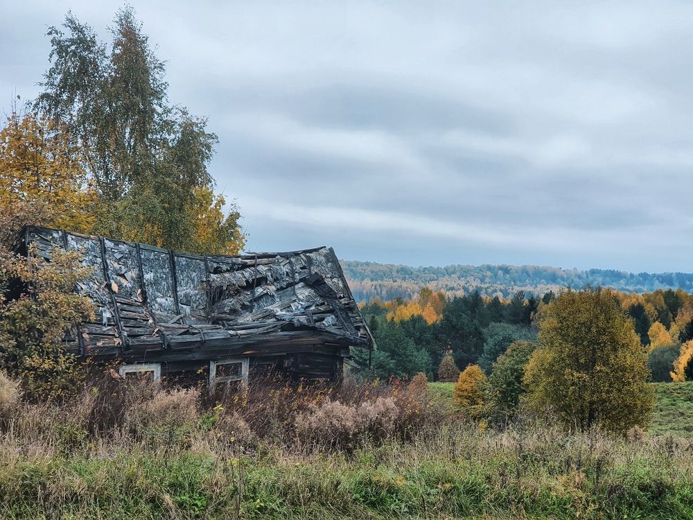 Photograph by Екатерина Карелина