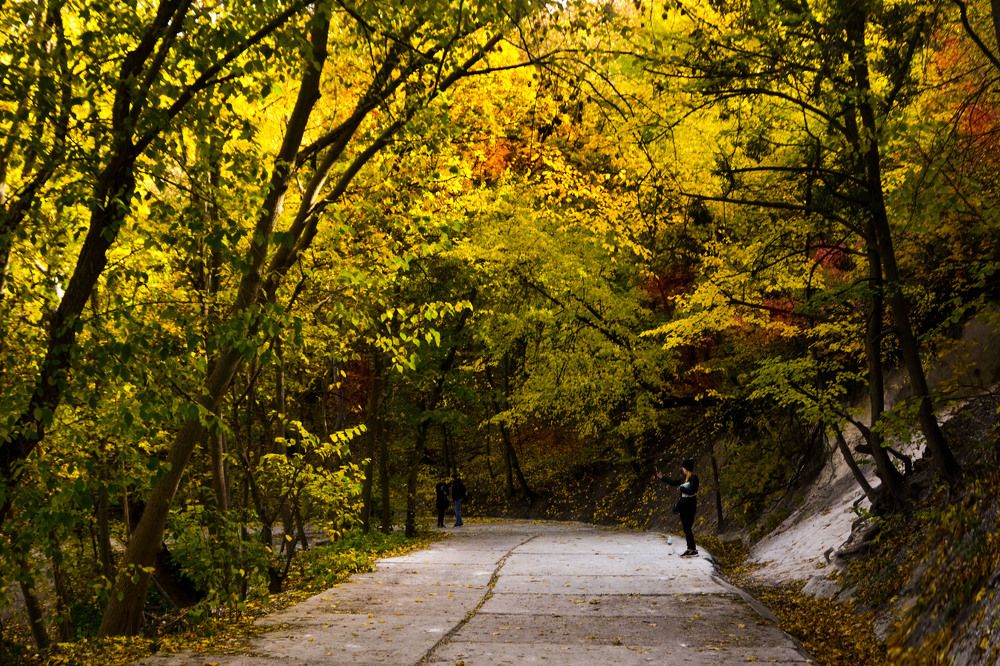 Photograph by Inna Logvinova