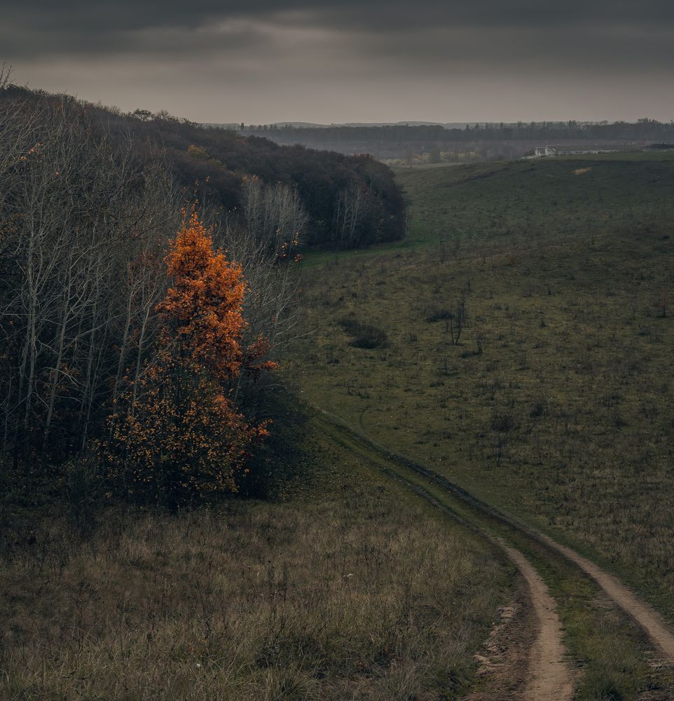 Photograph by Александр