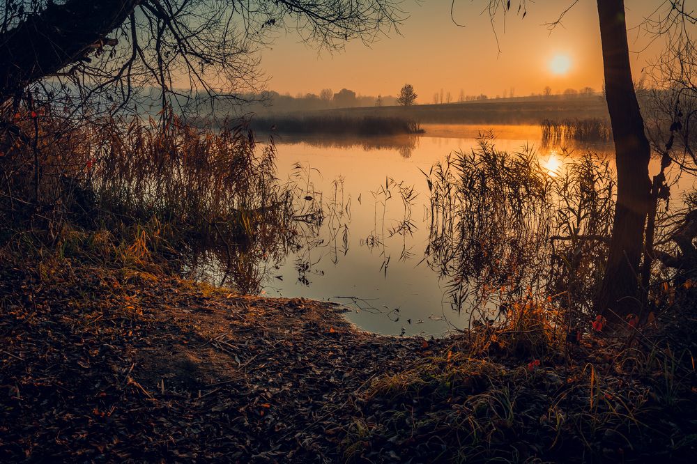 Photograph by Александр