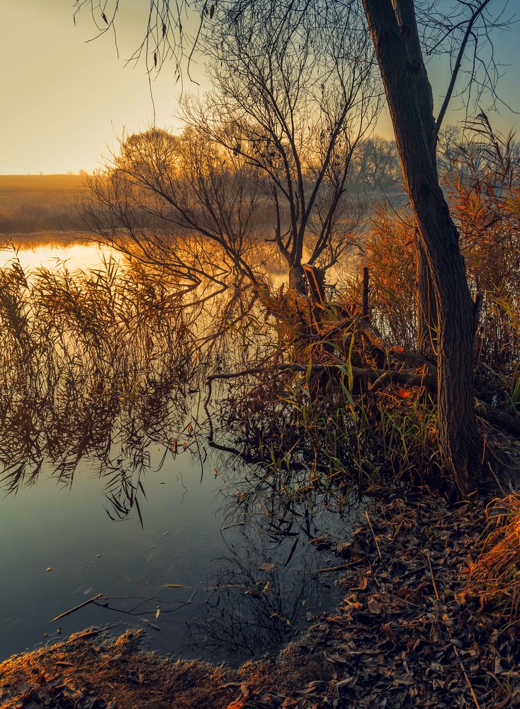 Photograph by Александр