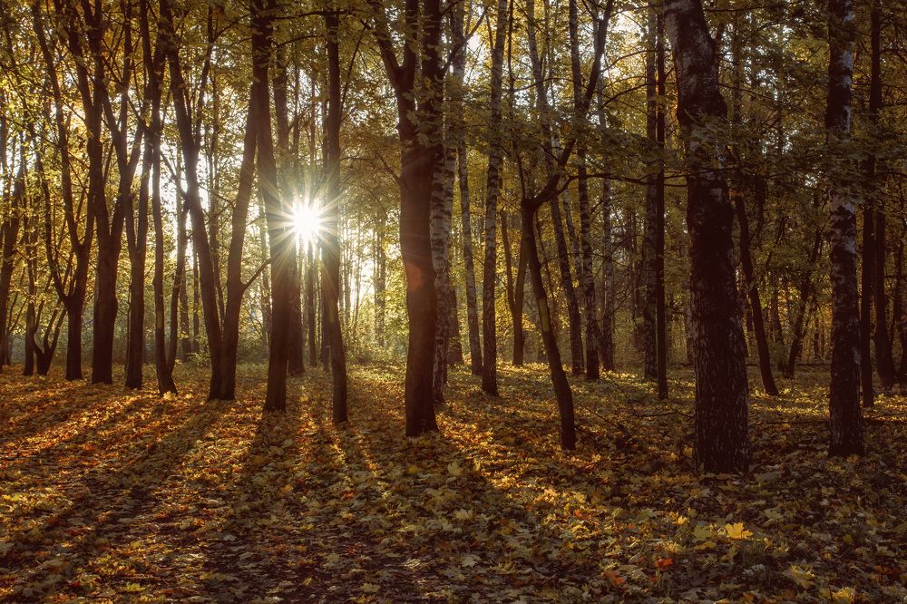 Photograph by Сергей Бибиков