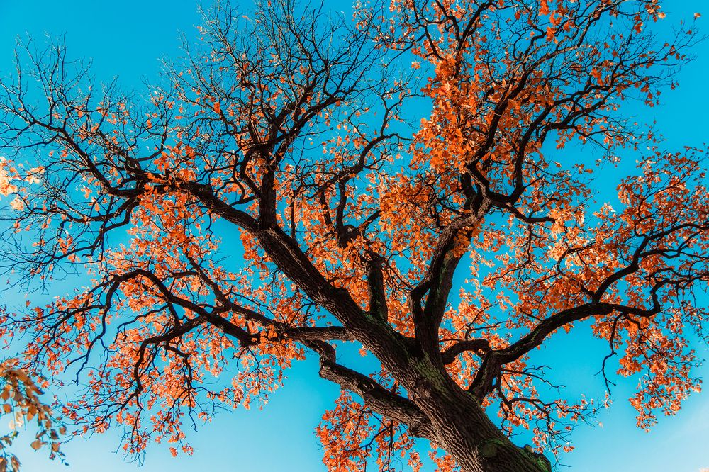 Photograph by Дмитрий Рубин