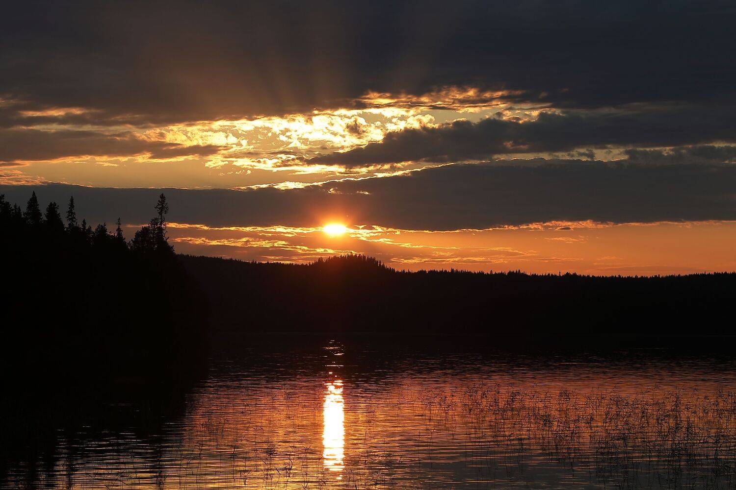 Photo #6574512
