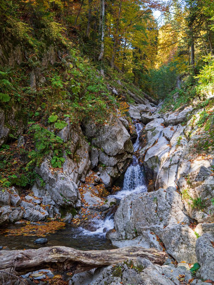 Photograph by Олеся Семенова