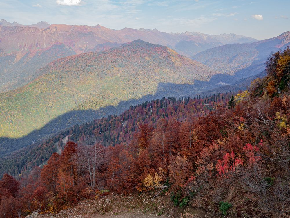 Photograph by Олеся Семенова