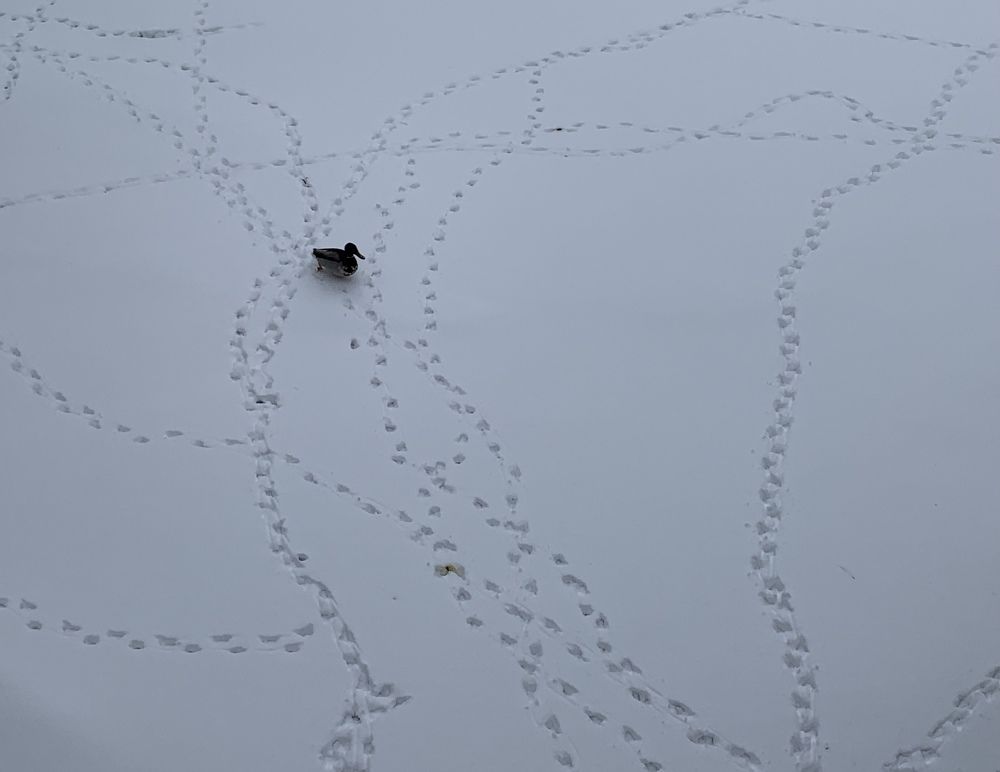 Photograph by Наталия Тарасова