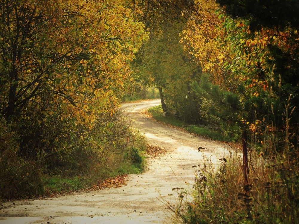 Photograph by Анна Азарёнок