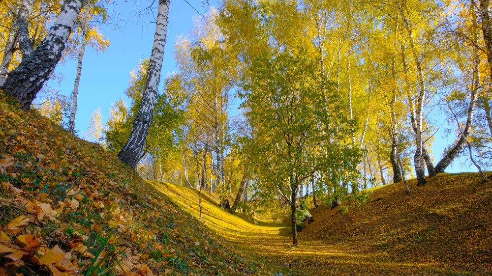 Photograph by Александр Елизаров